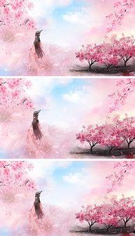 亚洲视频桃花,桃花映照下的浪漫画卷